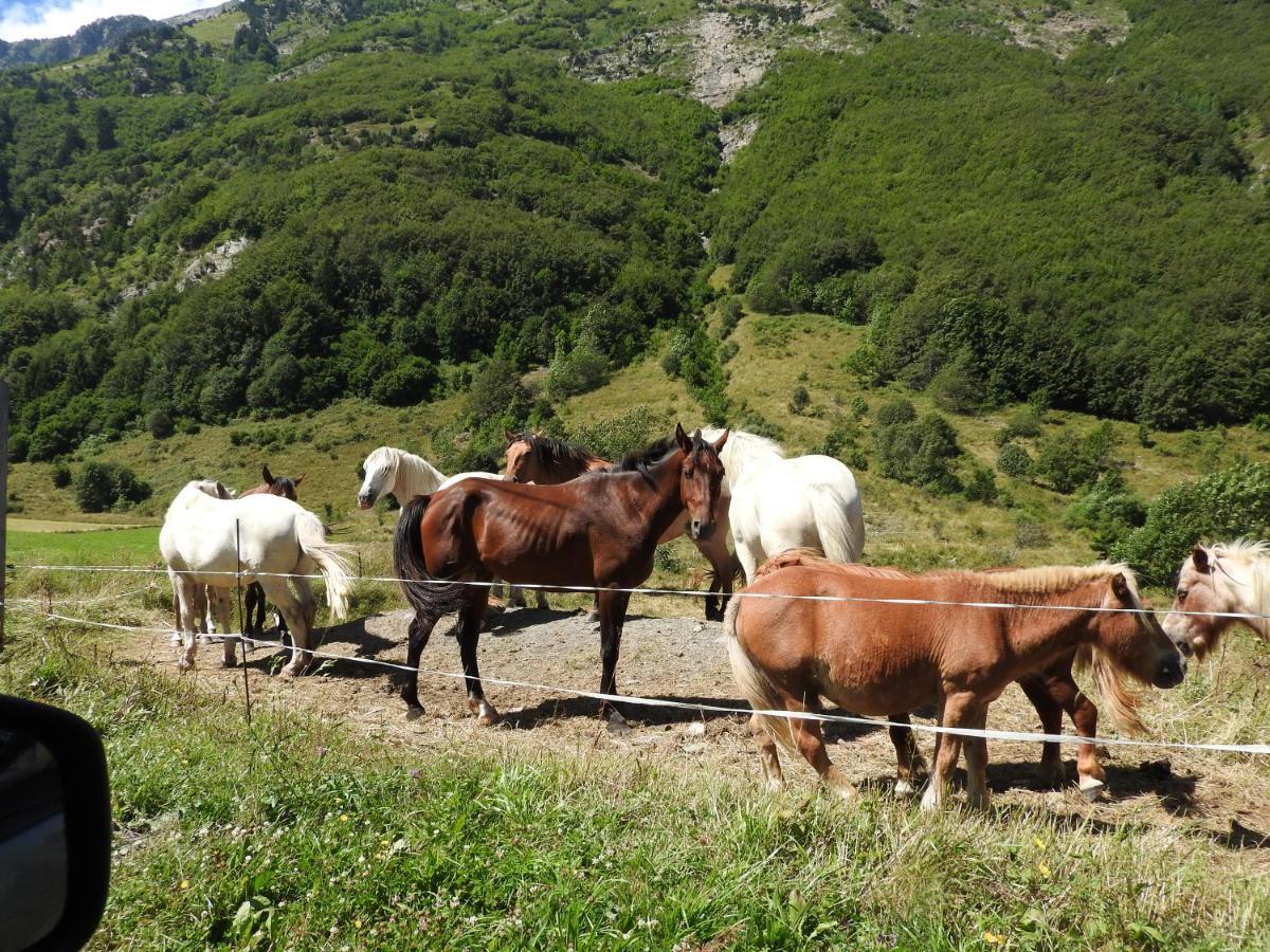 Au Printemps Japonais, Petit Train De La Mure, Parc Des Ecrins Casa de Férias *