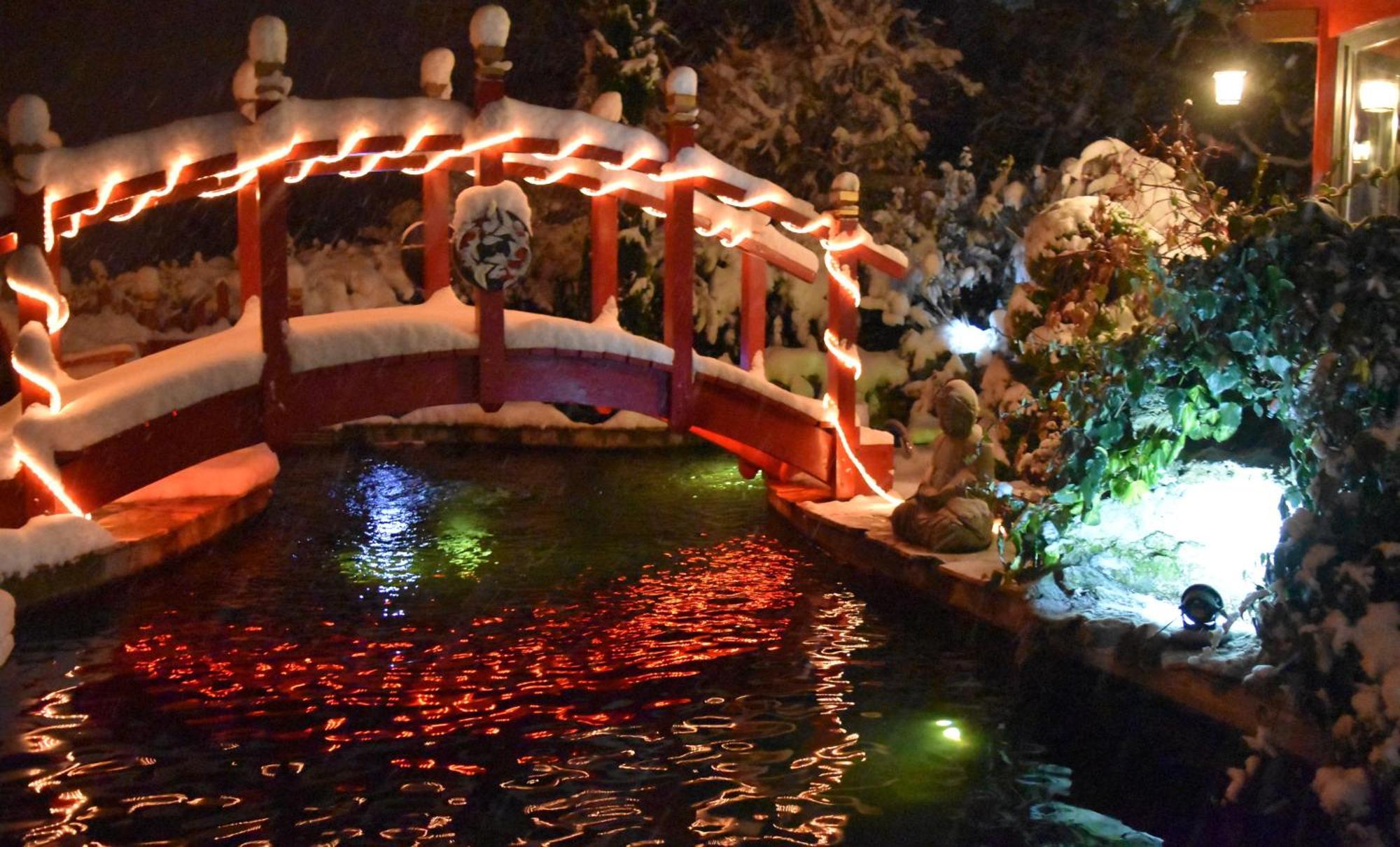 Au Printemps Japonais, Petit Train De La Mure, Parc Des Ecrins * Pierre-Chatel