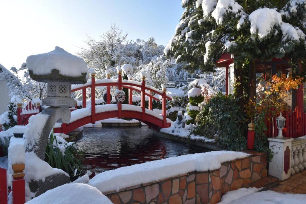Au Printemps Japonais, Petit Train De La Mure, Parc Des Ecrins * Pierre-Chatel