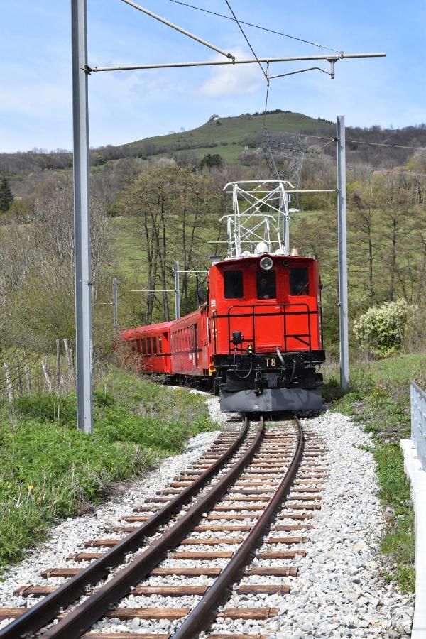 Au Printemps Japonais, Petit Train De La Mure, Parc Des Ecrins