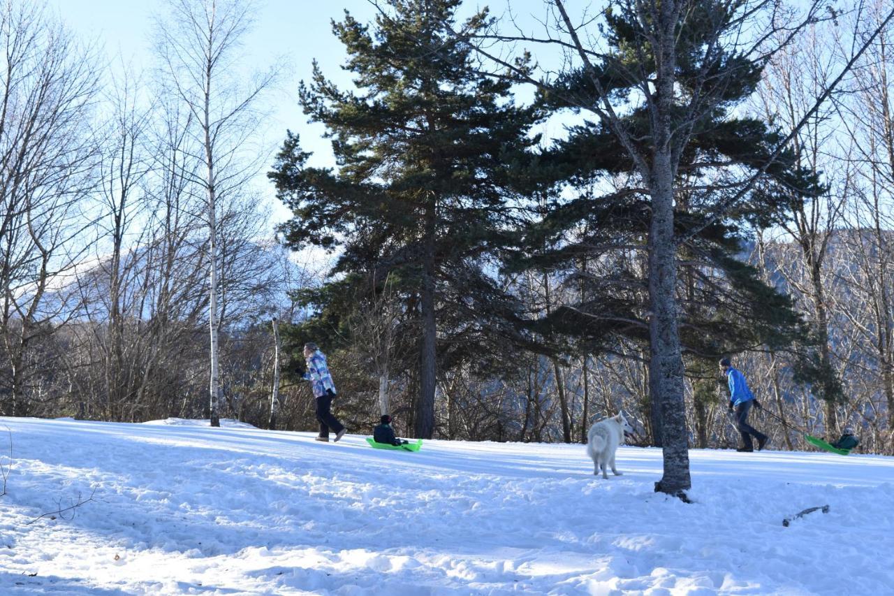 Au Printemps Japonais, Petit Train De La Mure, Parc Des Ecrins Pierre-Chatel