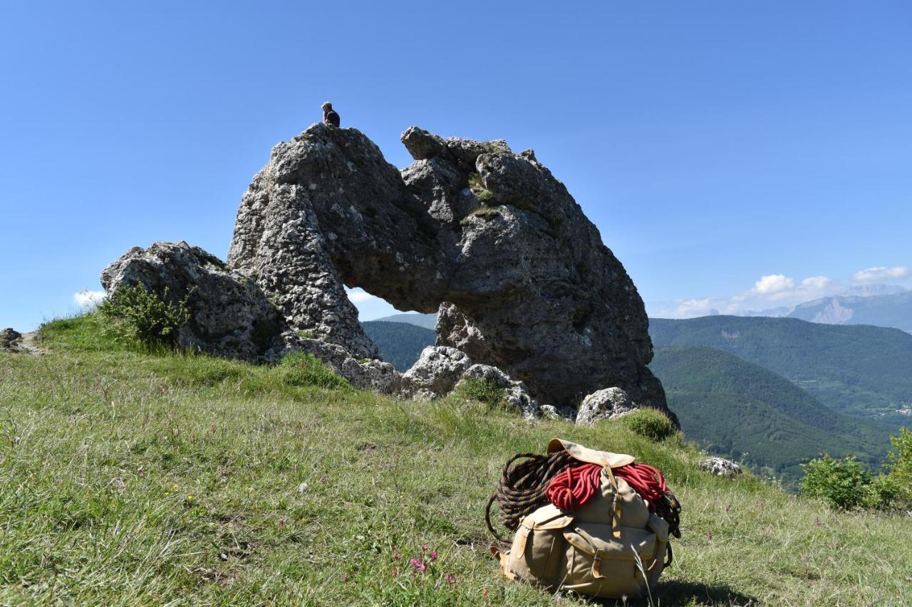 Au Printemps Japonais, Petit Train De La Mure, Parc Des Ecrins * Pierre-Chatel